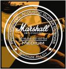 MARSHALL STR1254, struny pro akustickou kytaru 012 - 054