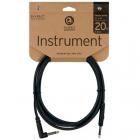 PLANET WAVES PW-CGTRA20