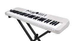 Galerijní obrázek č.5 Keyboardy s dynamikou NUX NEK-110
