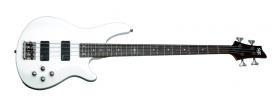 SCHECTER SGR C-4 White