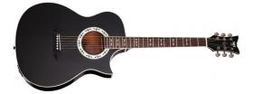 Hlavní obrázek Další tvary SCHECTER SA-1 AC SGR Black