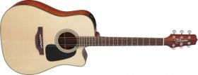 TAKAMINE P2DC Natural