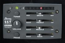 Galerijní obrázek č.3 Dreadnought IBANEZ AW 250 ECE LG