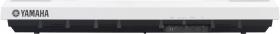 Galerijní obrázek č.1 Digitální piana YAMAHA P-115 WH