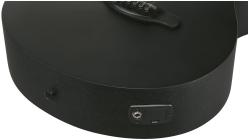 Galerijní obrázek č.7 Jumbo IBANEZ AEG621-BOT - Black Out
