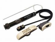 Hlavní obrázek Akustické L.R.BAGGS Anthem-SL Classic