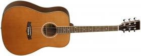 TANGLEWOOD TW28 SOLID, akustická kytara