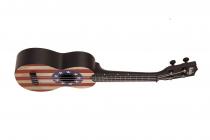 Galerijní obrázek č.2 Sopránové KALA Ukadelic Soprano Ukulele USA