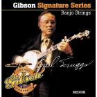 GIBSON Earl Scruggs Signature - .010 - .010