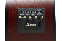 Galerijní obrázek č.2 Jumbo IBANEZ PJ50E-OAH - Open Pore Vintage Amber Sunburst