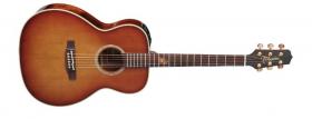 TAKAMINE TF77-PT Natural