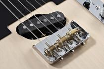 Galerijní obrázek č.3 T - modely FENDER GE Smith Telecaster®, Maple Fretboard, Black