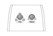 Galerijní obrázek č.6 Další tvary IBANEZ AAM300CE-NT - Natural High Gloss