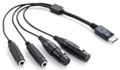 Galerijní obrázek č.6 FireWire zvukové karty FOCUSRITE Forte