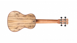 Galerijní obrázek č.2 Akustické kytary a ostatní CORDOBA 24C Spruce - Natural