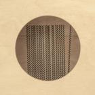 Galerijní obrázek č.2 Cajony MEINL MC1BW Mini Series Cajon - Burl Wood