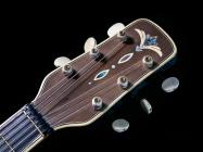 Galerijní obrázek č.3 Kytary Cremona 463