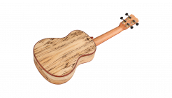 Galerijní obrázek č.3 Akustické kytary a ostatní CORDOBA 24C Spruce - Natural