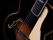 Galerijní obrázek č.4 Kytary Cremona 463