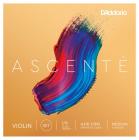 D´ADDARIO - BOWED Ascenté Violin Strings A310 1/8M
