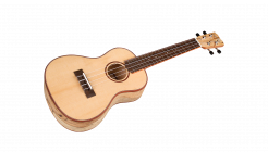 Galerijní obrázek č.1 Akustické kytary a ostatní CORDOBA 24C Spruce - Natural