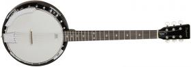 TANGLEWOOD TB24 DLX-6, banjo
