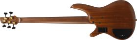 Galerijní obrázek č.1 5strunné IBANEZ SR5505-MHF - Mocha Flat