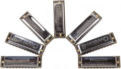 Galerijní obrázek č.2 Diatonické HOHNER Blues Band Set