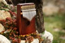 Galerijní obrázek č.5 Kalimby WOODMAN Kalimba - Dark Brown