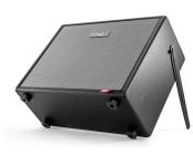 Galerijní obrázek č.3 Náhradní díly IK MULTIMEDIA TONEX Cab Grill - Gold