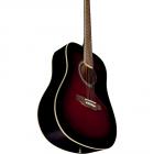 Galerijní obrázek č.3 Dreadnought EKO Ranger 6 - Red Sunburst