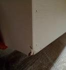 Galerijní obrázek č.5 Digitální piana KAWAI KDP120 W - White C-Stock