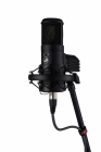 Galerijní obrázek č.1 Lampové mikrofony WARM AUDIO WA-8000