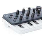 Galerijní obrázek č.3 Syntezátory, varhany, virtuální nástroje MODAL ELECTRONICS SKULPT synth SE