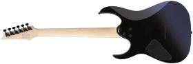 Galerijní obrázek č.1 Superstrat IBANEZ RG421DX-TWS - Twilight Shade