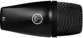 AKG Perception Live P2 A-Stock