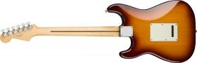 Galerijní obrázek č.1 ST - modely FENDER Player Stratocaster Plus Top Tobacco Sunburst Pau Ferro