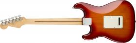 Galerijní obrázek č.1 ST - modely FENDER Player Stratocaster Plus Top Aged Cherry Burst Maple