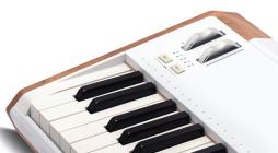 Galerijní obrázek č.4 Keyboardy s dynamikou ARTURIA AstroLab