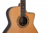 Galerijní obrázek č.1 Další tvary DOWINA Cabernet GACE