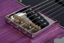 Galerijní obrázek č.5 T - modely SCHECTER PT Special - Purple Burst Pearl