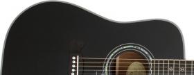 Galerijní obrázek č.1 Dreadnought EPIPHONE Dave Navarro Signature Ebony