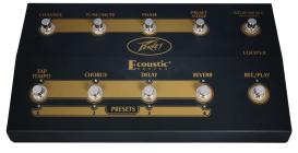 Galerijní obrázek č.5 Akustická komba PEAVEY Ecoustic E110 Footcontroller