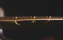 Galerijní obrázek č.3 Příslušenství MEINL CY-RIVET-BR Sizzle Rivets - Brass Plated