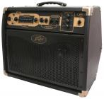 Galerijní obrázek č.1 Akustická komba PEAVEY Ecoustic E110 Footcontroller