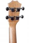 Galerijní obrázek č.3 Koncertní ARROW MH10 Mahogany Concert Ukulele - Natural SET