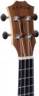 Galerijní obrázek č.2 Koncertní ARROW MH10 Sapele Concert Ukulele - Natural SET