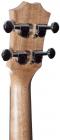 Galerijní obrázek č.3 Koncertní ARROW MH10 Sapele Concert Ukulele - Natural SET