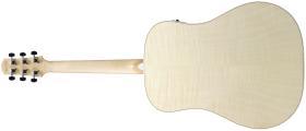 Galerijní obrázek č.1 Dreadnought IBANEZ AAD77M1E-OAW - Open Pore Antique White