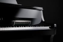 Galerijní obrázek č.7 Digitální piana KAWAI NV10 S